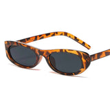 Leopardo
